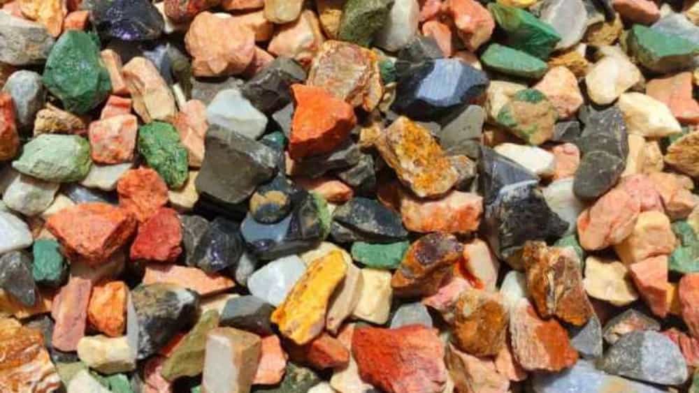Zagros'un Shiraz Saatlerinden Kum Kumu, Sıfır Altı ve Kalite Badem Alışveriş Kılavuzu